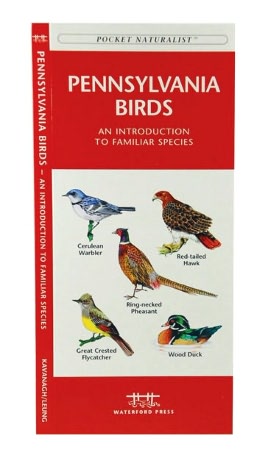 Pennsylvania Birds