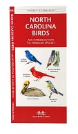 North Carolina Birds: An Introduction to Familiar Species