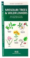 download Integral Ecology : Uniting Multiple Perspectives on the Natural World book
