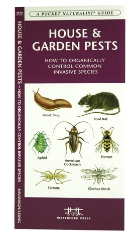 House & Garden Pests