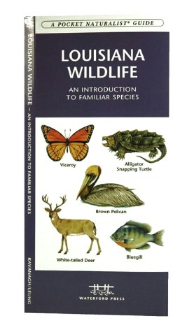 Louisiana Wildlife: An Introduction to Familiar Species