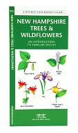New Hampshire Trees & Wildflowers: An Introduction to Familiar Species