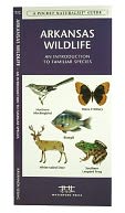 Arkansas Wildlife: An Introduction to Familiar Species