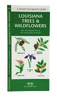 Louisiana Trees and Wildflowers: An Introduction of Familiar Species