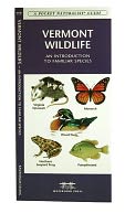 Vermont Wildlife: An Introduction to Familiar Species