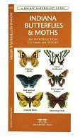 Indiana Butterflies and Moths: An Introduction to Familiar Species
