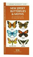 New Jersey Butterflies and Moths: An Introduction to Familiar Species