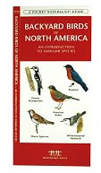 Backyard Birds of North America: An Introduction to Familiar Species