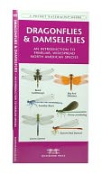 Dragonflies and Damselflies: An Introduction to Familiar, Widespread North American Species
