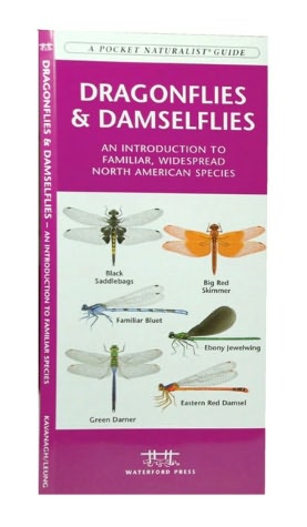 Dragonflies and Damselflies: An Introduction to Familiar, Widespread North American Species