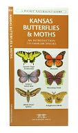 Kansas Butterflies and Moths: An Introduction to Familiar Species