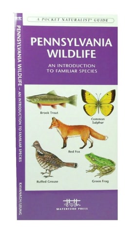 Pennsylvania Wildlife: An Introduction to Familiar Species