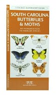 South Carolina Butterflies and Moths: An Introduction to Familiar Species