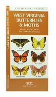 West Virginia Butterflies and Moths: An Introduction to Familiar Species