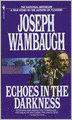 Echoes in the Darkness