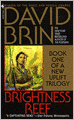 Brightness Reef (New Uplift Series #1)