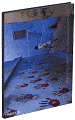 Steve McCurry: The Unguarded Moment