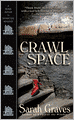 Crawlspace (Home Repair Is Homicide Series #13)