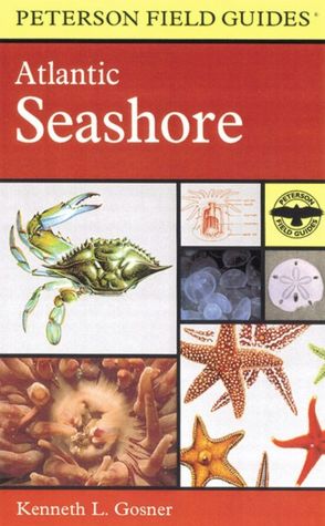 A Field Guide to the Atlantic Seashore: From the Bay of Fundy to Cape Hatteras