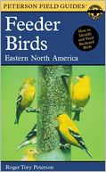 A Field Guide to Feeder Birds: Eastern and Central North America