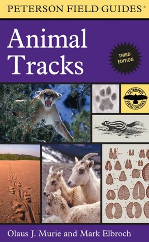Peterson Field Guide to Animal Tracks: Third Edition