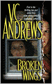 Broken Wings (Broken Wings Series #1)