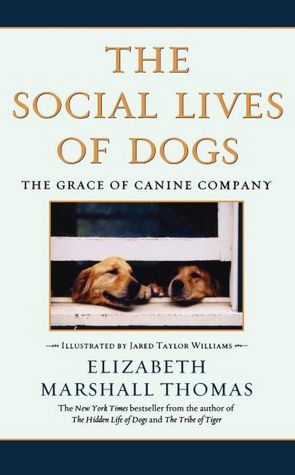 The Social Lives Of Dogs