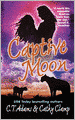 Captive Moon (Tales of the Sazi Series #3)