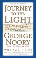 download Journey to the Light : Find Your Spiritual Self and Enter Into a World of Infinite Opportunity: True Stories from Those Who Made the Journey book