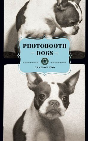 Photobooth Dogs
