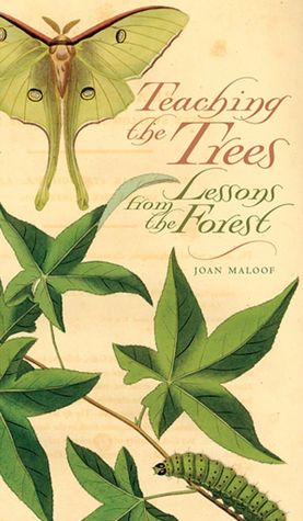 Teaching the Trees: Lessons from the Forest