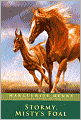 Stormy, Misty's Foal