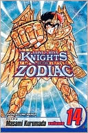 Knights of the Zodiac (Saint Seiya), Volume 14