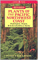 Plants of the Pacific Northwest Coast