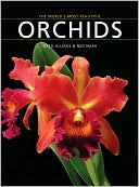 World's Most Beautiful Orchids
