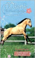 Buckskin Bandit (Winnie the Horse Gentler Series #8)