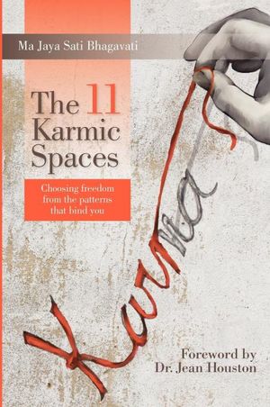 The 11 Karmic Spaces