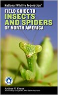 National Wildlife Federation Field Guide to Insects and Spiders & Related Species of North America