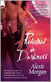 Redeemed in Darkness (Paladin Series #4)