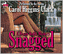 Snagged (Regan Reilly Series #2)