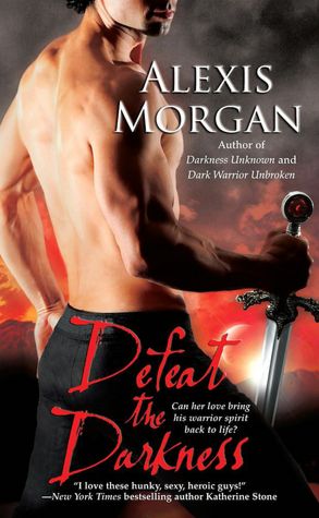 Defeat the Darkness (Paladin Series #6)