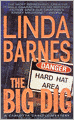 Big Dig (Carlotta Carlyle Series #9)