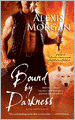Bound by Darkness (Paladin Series #7)