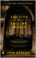 The City of Falling Angels