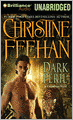 Dark Peril (Dark Series #21)