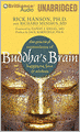 Buddha's Brain: The Practical Neuroscience of Happiness, Love and Wisdom