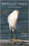 Wetland Birds of North America: A Guide to Observation, Understanding and Conservation
