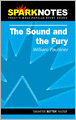 The Sound and the Fury (SparkNotes Literature Guide Series)