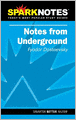 Notes from Underground (SparkNotes Literature Guide Series)