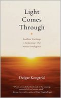 Light Comes Through: Buddhist Teachings on 